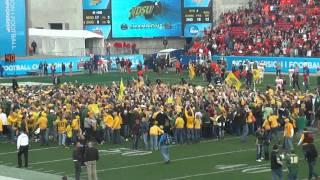 Bison Rush the Field
