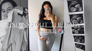 OUR 20 WEEK PREGNANCY SCAN! FINDING OUT THE BABY'S GENDER + BABY CLOTHES HAUL