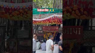 સતાધાર જય ભુતબાપા #visavadar #viralvideo #vlog #minivlog #satatus #satadhar #live #mandir #jungle