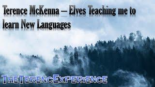 Terence McKenna - Elves Teaching me to learn New Languages