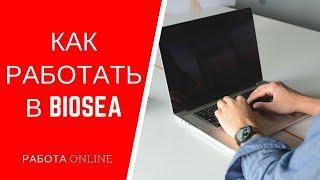 Как работать в Biosea. Работа онлайн online