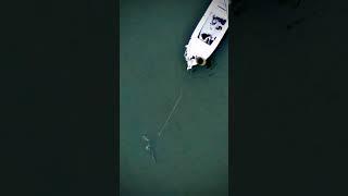 Quick Release fly fishing