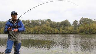 Catching Perch with Spinning. My Effective Lures for Perch