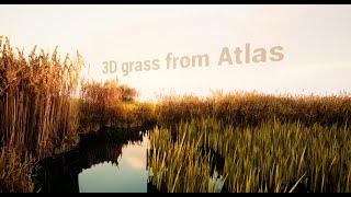 Creating Grass from an Atlas (UE5, Houdini, Quixel)