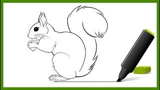 Как нарисовать белку \\ Белка грызет орешек // Черно-белый рисунок \\ How to draw a squirrel