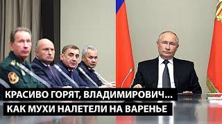 Красиво горят, Владимир Владимирович... КАК МУХИ НАЛЕТЕЛИ НА ВАРЕНЬЕ...