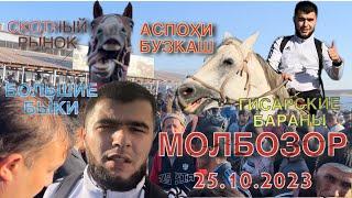 ГИСАРСКИЕ ҚУШҚАРЫБЫКИЛОШАДИ 25.10.2023МОЛБОЗОРСКОТНЫЙ РЫНОК#cow #быки #horse #кфх#герефорд