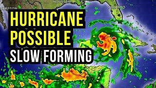 Slow Forming Hurricane Likely...