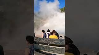 Steam vent in Yellowstone NP