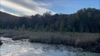 October Evening Lake View + Beaver Deceiver Update