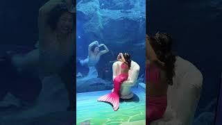 Haan ji seedha dil pe vaar karenge #edit #love #cute #seepictures #duet #entertainment #shorts #fyp