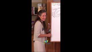 How can we determine what is truth?  Ep.43