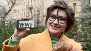 Анна Жижа, Новый канал, WWF