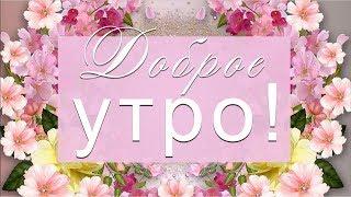 Доброе утро! Анимационное видео #WhatsApp