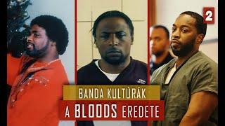 Banda kultúrák: A Bloods eredete (#2)