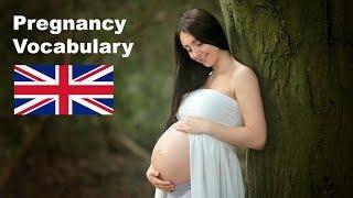 Pregnancy Vocabulary - English Like A Native