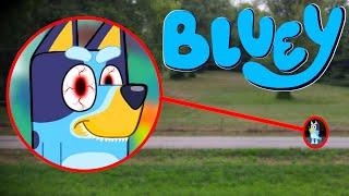 Drone Catches BLUEY IN REAL LIFE!!