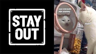 STAY OUT | PVP | д.Хворостовка и п.Новиково