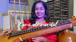 Kangal Irandal | Veena Cover | Arunitha Mohan