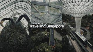 Week in My Life as a Content Creator in Singapore