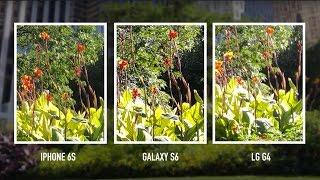 Camera shootout: iPhone 6S vs. Galaxy S6 vs. LG G4