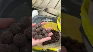 Cate kg estimezi ca avea pestele ? #shorts #4k #reels #carp #nature #shortsvideo #carpfishing #reel