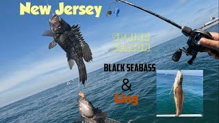 Party Boat Black seabass/Ling bottom fishing New Jersey spring season (Natural bait worked best)