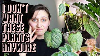 plants I'm getting rid of... and why 🪴 Plant Purge