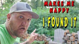IT'S COMING ALONG NOW |tiny house, homesteading, off-grid, cabin build, DIY HOW TO sawmill tractor