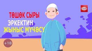 ТӨШӨК СЫРЛАРЫ ЭРКЕКТИН ЖЫНЫСТЫК МҮЧӨСҮ