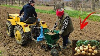 Semanat cartofi cu Tractorul Pasquali (Aprilie 2021)