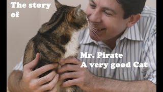 The story of Mr. Pirate, possibly the best cat EVAR