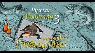 Русская рыбалка 3 Гребнистый крокодил