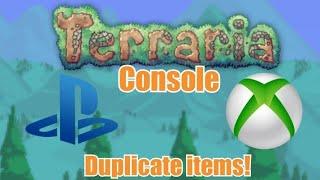 How To Duplicate Any Item In Terraria On PS4 And X-BOX 1