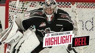 2018-19 HIGHLIGHT REEL | Trent Miner