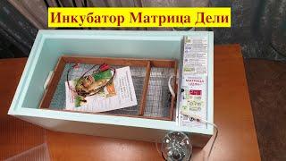 Обзор инкубатора Матрица Дели