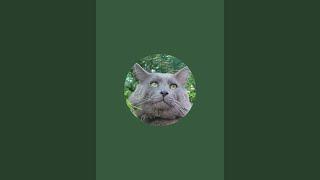 Nebelung (Нибелунг) is live!