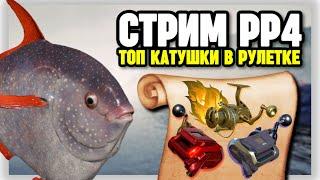  СТРИМ РР4┃ЗА РЕДКОСТЯМИ НА НОРВЕЖСКОЕ МОРЕ┃ ТОПОВЫЙ РАПТОР 40 В РУЛЕТКЕ┃maXS1k