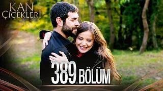 Kan Çiçekleri 389. Bölüm