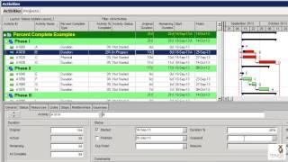 Primavera P6 Percent Complete Types
