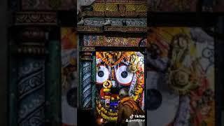 Aahe parvhu Jagannath takhiya kar a jagat(tiktok )