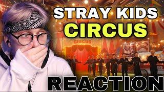 Stray Kids - CIRCUS | РЕАКЦИЯ