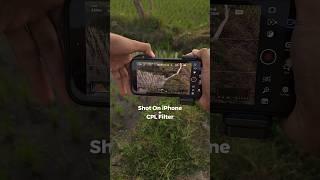Elevate your iPhone photography game with the Freewell CPL Filter! #iphone #shotoniphone