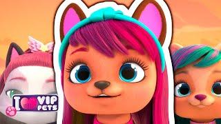  DEFINITIVE LOOKS  COLLECTION  VIP PETS  HAIRSTYLES ‍️ Full Episodes For KIDS in ENGLISH