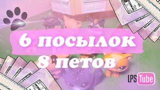 LPS: 6 ПОСЫЛОК в ОДНОМ ВИДЕО! Распаковка петов с AliExpress