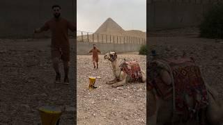 I beat darbuka on camel #alrafaelo #darbuka #egypt