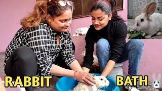 Masti with two cute rabbits|| Rabbit bath || PBR Vlogs