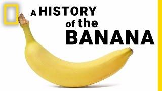 The Surprising History of Bananas in Under 2 Minutes | National Geographic