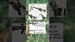 AA-12 Shotgun