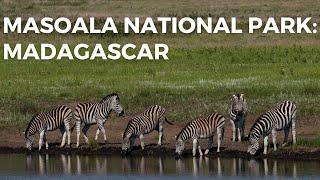 Masoala National Park : Madagascar's Natural Treasure  ️